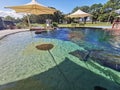 Sting Rays @ Irukandji Shark & Ray Encounters, Anna Bay, Australia