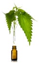 Stinging nettle leaves in a glass funnel above a brown pharmacy