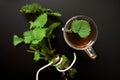 Stinging nettle tea is a very good remedy and an anti viral cure for many illnesses