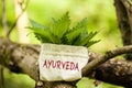 Stinging Nettle with the word Ayurveda Royalty Free Stock Photo