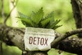 Stinging Nettle with the word Detox