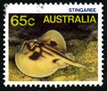 Stingray Australian Postage Stamp