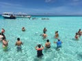 Stingray experience tour in Grand Cayman