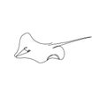 Stingray fish, manta, sea fox continuous line drawing. One line art of predatory fish, seafood, marine animals.