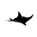 Stingray illustration, Black and white stingray Royalty Free Stock Photo