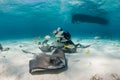 Stingrays and SCUBA Divers Royalty Free Stock Photo