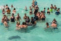 Stingrays and tourists at stingray city in Grand Cayman Islands
