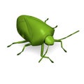 Stink bug