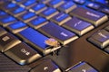Stink bug on computer keyboard