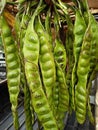 stinky beans for sale at a traditional market