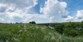 Stipa grass in a hills