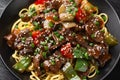 Stir fried beef in black bean sauce with vegetables and noodles. Take away food Royalty Free Stock Photo