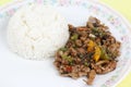 Stir fried beef with black hot pepper and steam rice Royalty Free Stock Photo