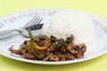 Stir fried beef with black hot pepper and steam rice Royalty Free Stock Photo
