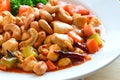 Stir fried chicken with cashew nuts Royalty Free Stock Photo