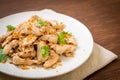 stir-fried chicken with garlic Royalty Free Stock Photo