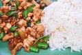 Stir fried chicken with holy basil with rice on plate Royalty Free Stock Photo