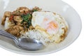 Stir fried chicken with holy basil and rice Royalty Free Stock Photo