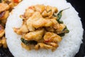 Stir-Fried Chicken and Holy Basil on Rice or Thai Food Recipe Center Frame Royalty Free Stock Photo