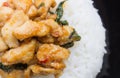 Stir-Fried Chicken and Holy Basil on Rice or Thai Food Recipe Flatlay Left Frame Royalty Free Stock Photo