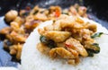 Stir-Fried Chicken and Holy Basil on Rice or Thai Food Recipe Right Frame Royalty Free Stock Photo