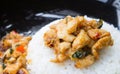 Stir-Fried Chicken and Holy Basil on Rice or Thai Food Recipe Right Frame 2 Royalty Free Stock Photo