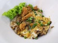 Stir fried Chicken Noodles and egg with vegetable in the dis. Thai food.