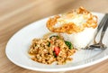 Stir fried chicken with rice and fried egg Royalty Free Stock Photo