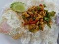 Stir-fried chicken with roasted curry paste and sweet basil leaf, lentils mixed vegetables, Fried egg on jasmine rice in white Royalty Free Stock Photo