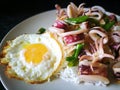 Stir fried chilli squid with rice and fried egg. Royalty Free Stock Photo