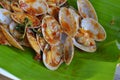 Stir fried clams with roasted chili paste on fresh banana leaf Royalty Free Stock Photo