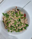 Stir-fried minced pork with Thai basil, long beans, and dried chili