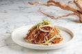 Stir-fried Noodle with Shredded Pork and Beansprout in Supreme Soya Sauce served in a dish isolated on grey background Royalty Free Stock Photo