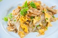 Stir fried noodles with egg, pork, vetgetables