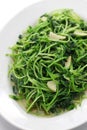 Stir fried pea shoots with garlic Royalty Free Stock Photo