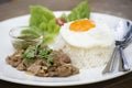 Stir fried pork with garlic serve with steam rice Royalty Free Stock Photo