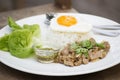 Stir fried pork with garlic serve with steam rice Royalty Free Stock Photo