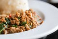 Stir Fried Pork Holy Basil With Rice - Selecti Royalty Free Stock Photo