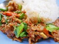 Stir fried pork with red curry paste Moo Pad Prik Gaeng with white rice