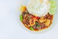 Stir fried seafood in thai red curry paste with rice and fried egg , Spicy Fried seafood , Curry fried shrimps and cooked rice in Royalty Free Stock Photo