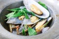 stir fried shell, shell salad or scald shell Royalty Free Stock Photo