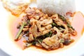 Stir fried spicy chicken. Thai spicy herb food Royalty Free Stock Photo