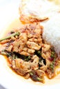 Stir fried spicy chicken. Thai spicy herb food Royalty Free Stock Photo