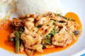 Stir fried spicy chicken. Thai spicy herb food Royalty Free Stock Photo