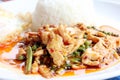 Stir fried spicy chicken. Thai spicy herb food