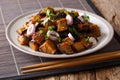 Stir fried Szechuan eggplant in spicy soy sauce with ginger, ga