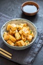 Stir Fried Tofu Royalty Free Stock Photo