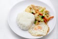 Stir Fried Tofu in Chinese Style,Deep Fried Tofu with Gravy Sauce ,Stir fried tofu with mixed vegetables in white plate on white Royalty Free Stock Photo