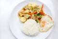 Stir Fried Tofu in Chinese Style,Deep Fried Tofu with Gravy Sauce ,Stir fried tofu with mixed vegetables in white plate on white Royalty Free Stock Photo