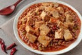 Stir-fried tofu dish with spicy and salty seasoning Royalty Free Stock Photo